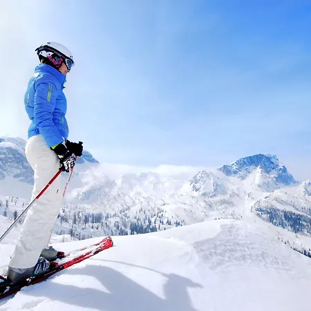 Basekamp Mountain Budget