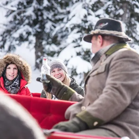 Hotel Basekamp Mountain Budget